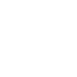 Computer Icon