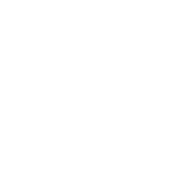 Repo Icon