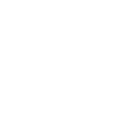 Icon of a magnifying glass over a document symbolizing search or review.